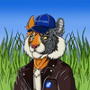 typical-tigers