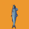 fishies