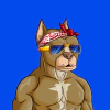 alpha-dogs