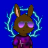 rabbits