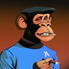 yuppie-apes
