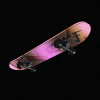 skate-the-future
