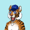 typical-tigers