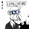 ape-maxi-biz