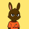 rabbits