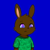 rabbits