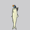 fishies