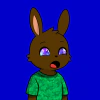 rabbits