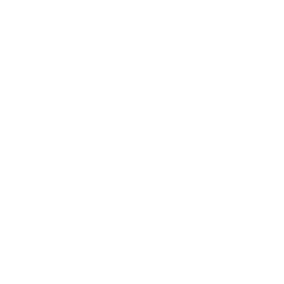The Spark Reborn