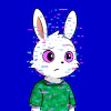 rabbits