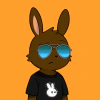 rabbits