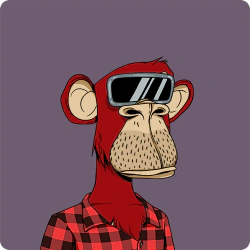 AhoyNinja