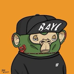 coolbo