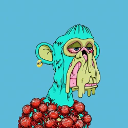 dnlch