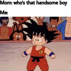qcbamboo