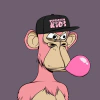 Bubblegum