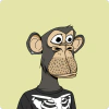 ShadyMarkNY_MainVault