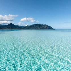 BlueHawaii