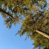 kaleohodl.eth