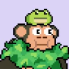 turtletoad.eth