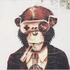 zatmonkey.eth