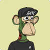ape1565