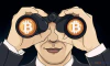 CryptoIvy