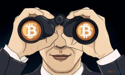 CryptoIvy