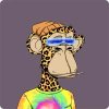 CheetahVault