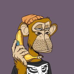 themiamipunk.eth