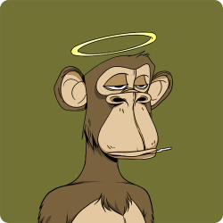 HolySmonkey