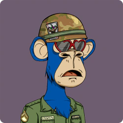 sgsaltysoldier.eth