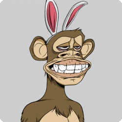memeowgi