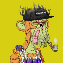 WIS3MONKE