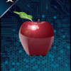 FREEDOMVAULT