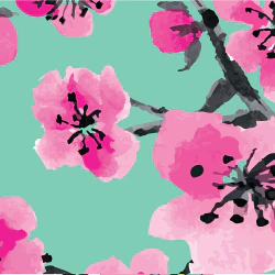 AriZonaNFTea