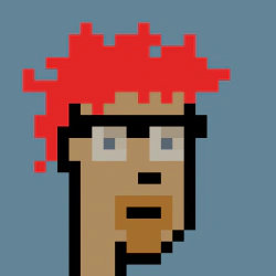 robbradish.eth